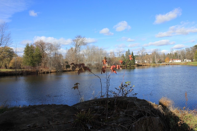 property view of water