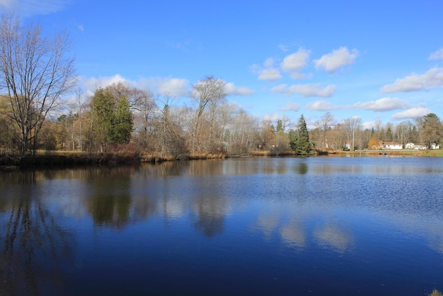 view of water feature