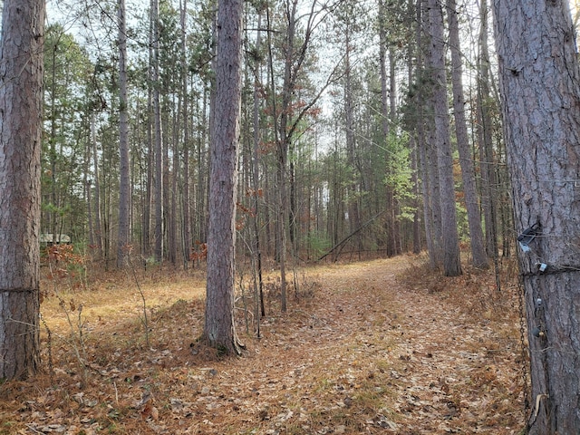 W Fletcher Rd, Roscommon MI, 48653 land for sale