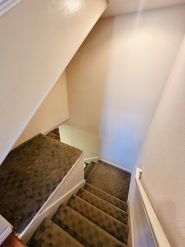 stairway with carpet floors