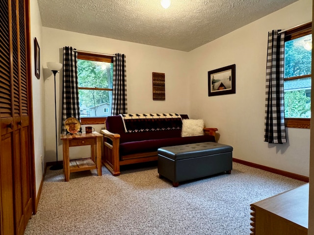 living room featuring carpet floors and a textured ceiling