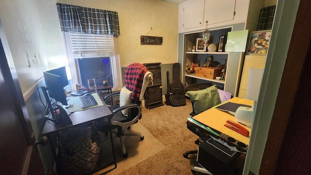 office space featuring carpet