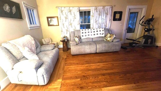 living room featuring hardwood / wood-style floors