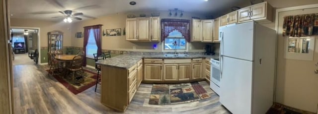 kitchen featuring light brown cabinets, white appliances, sink, hardwood / wood-style flooring, and ceiling fan