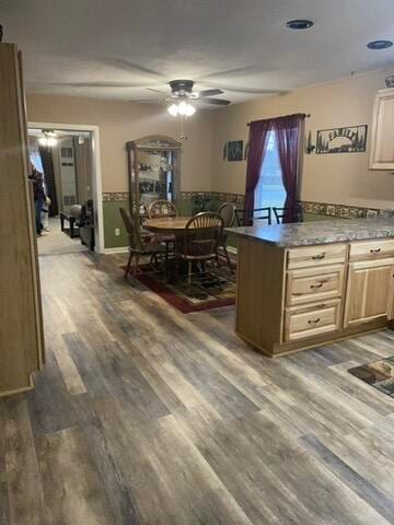 kitchen featuring dark hardwood / wood-style floors, ceiling fan, and light brown cabinetry