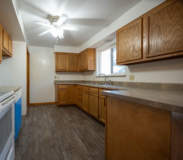 kitchen featuring dark hardwood / wood-style floors, ceiling fan, white range, and sink