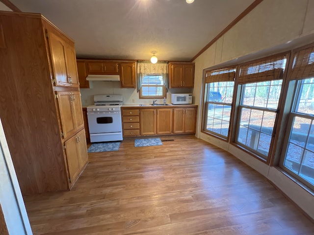 kitchen featuring light hardwood / wood-style floors, a healthy amount of sunlight, white appliances, and vaulted ceiling