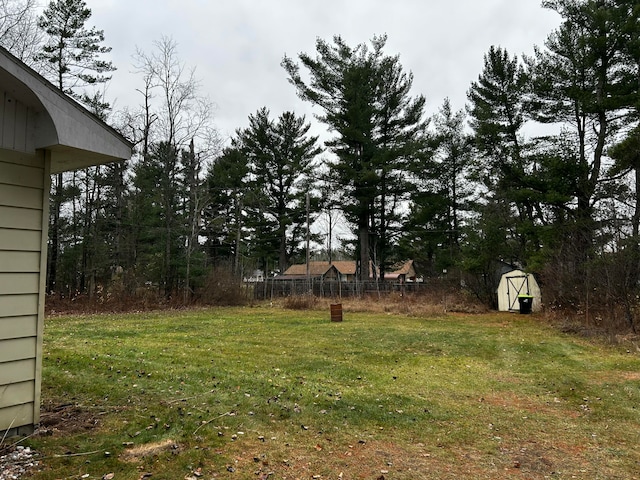 view of yard with a storage unit