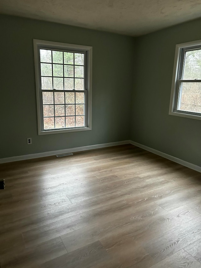 empty room featuring light hardwood / wood-style flooring and a wealth of natural light