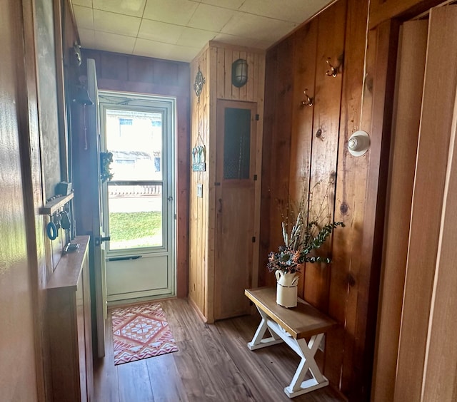 doorway to outside featuring wooden walls and hardwood / wood-style flooring