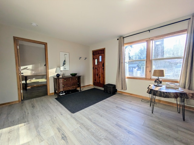 foyer entrance featuring light hardwood / wood-style flooring