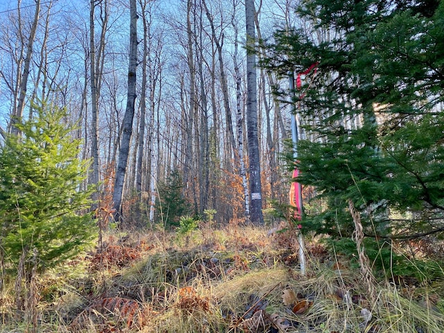 Lots36-39 Chemin De La Montagne, Wolverine MI, 49799 land for sale