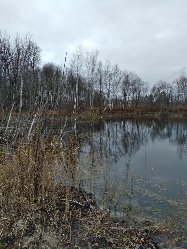 LOT11 Wilderness Dr, Mancelona MI, 49659 land for sale