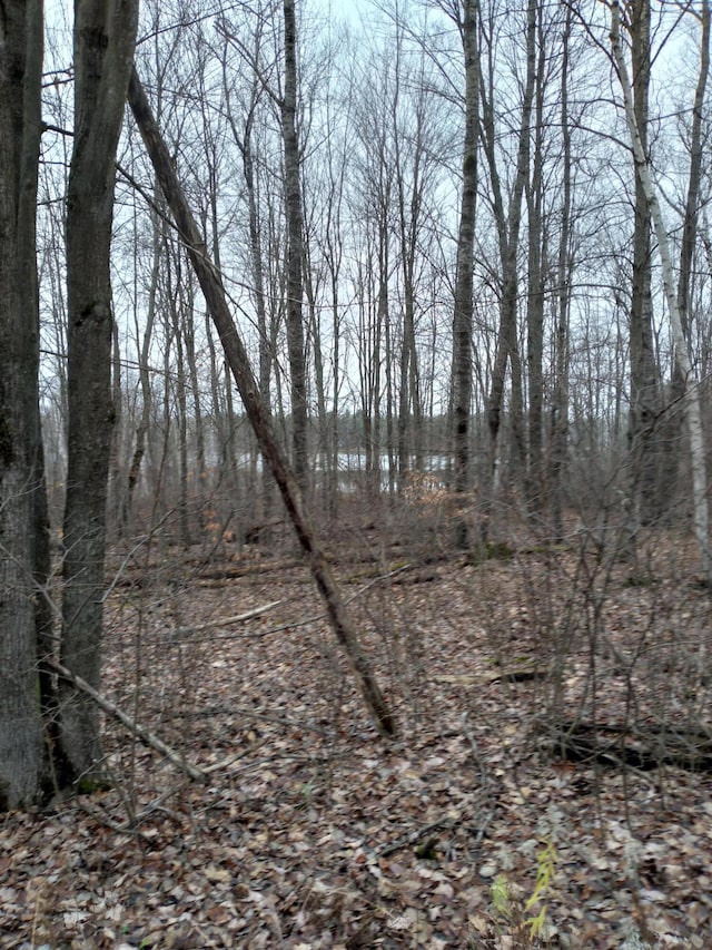 Listing photo 3 for LOT11 Wilderness Dr, Mancelona MI 49659