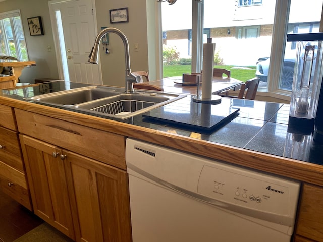 kitchen with dishwasher and sink