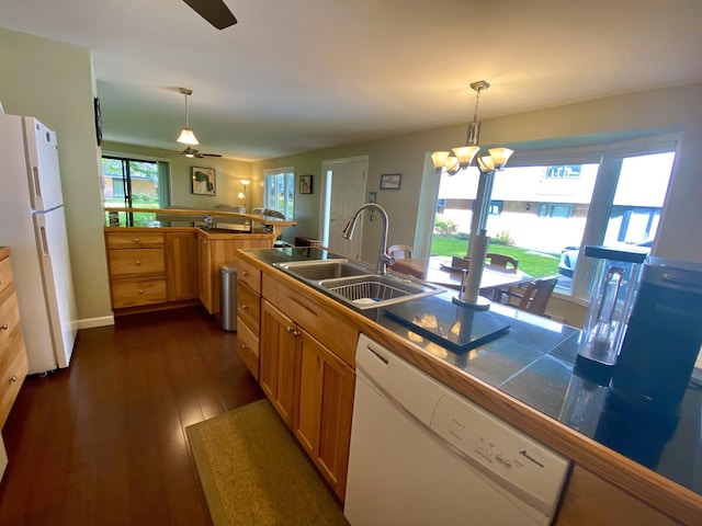 kitchen featuring dark hardwood / wood-style flooring, sink, pendant lighting, and white appliances