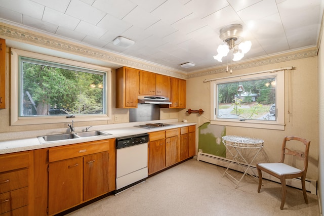 kitchen featuring dishwasher, ornamental molding, a healthy amount of sunlight, and sink