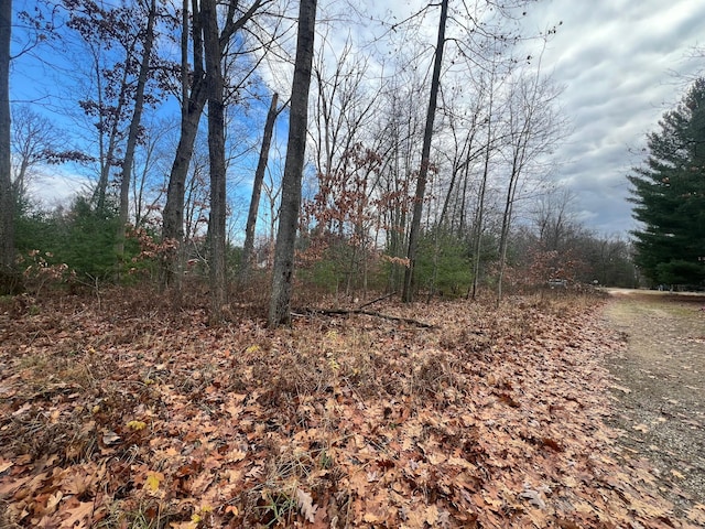 view of local wilderness