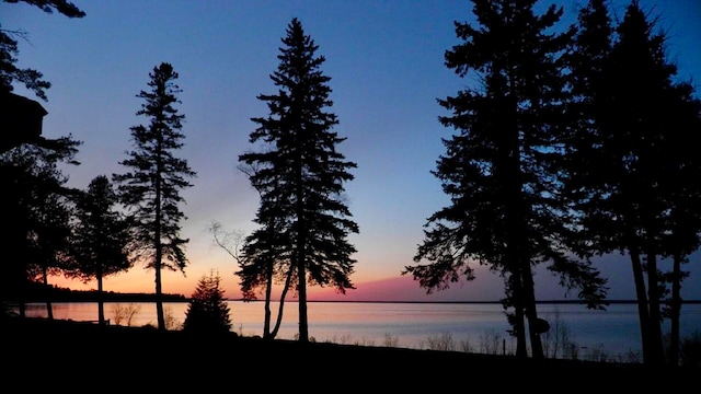 nature at dusk with a water view