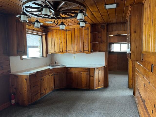 kitchen featuring carpet, sink, and wooden walls