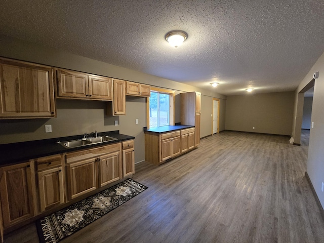 kitchen with hardwood / wood-style floors, sink, and a textured ceiling