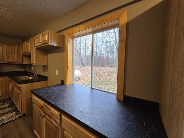 kitchen featuring sink, dark hardwood / wood-style floors, and a textured ceiling