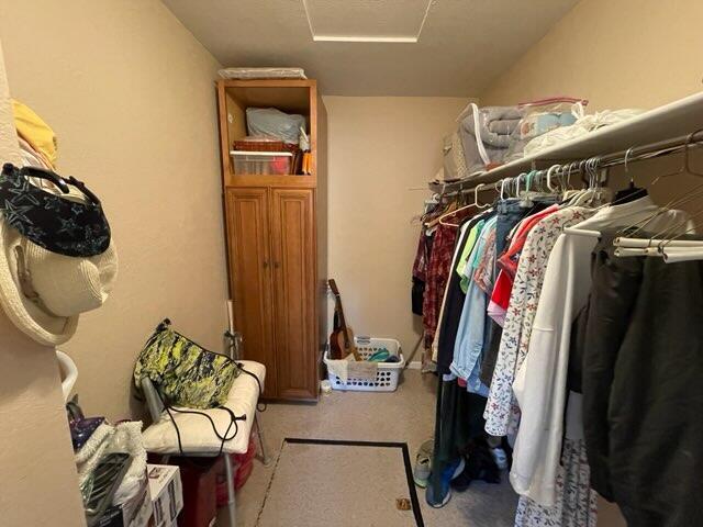 spacious closet featuring light carpet