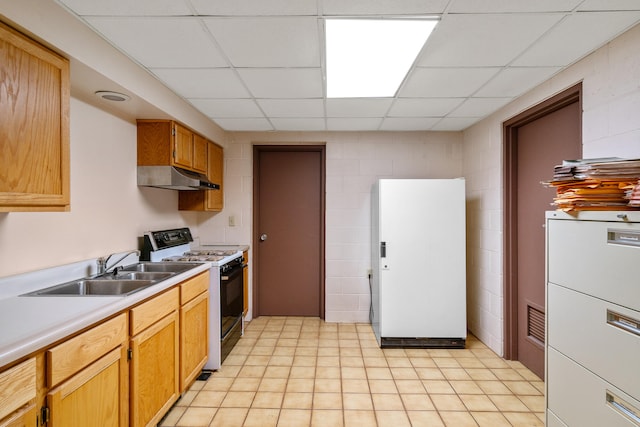 kitchen with a drop ceiling, white appliances, and sink