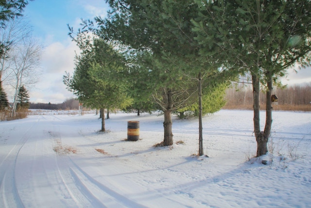 view of yard layered in snow