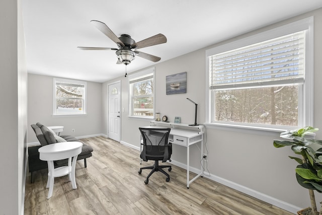 office featuring ceiling fan and light wood-type flooring