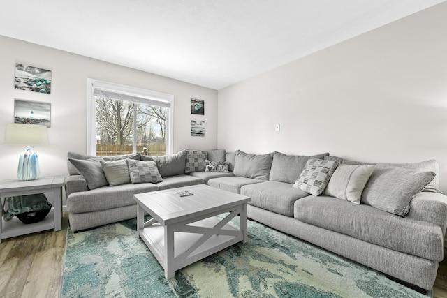 living room with wood-type flooring