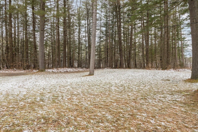 view of local wilderness