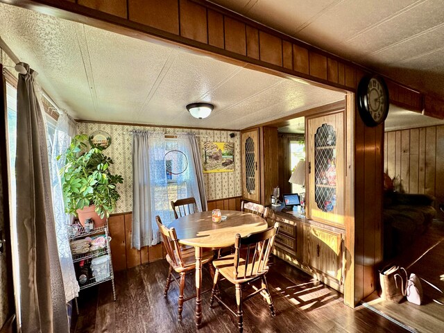 dining area featuring a healthy amount of sunlight, dark hardwood / wood-style flooring, and wooden walls