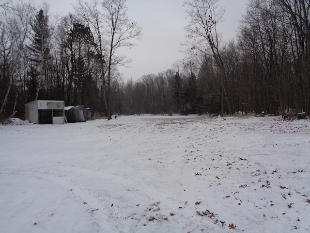 yard covered in snow featuring an outdoor structure