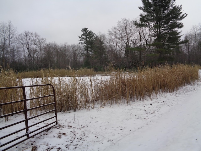 view of yard layered in snow