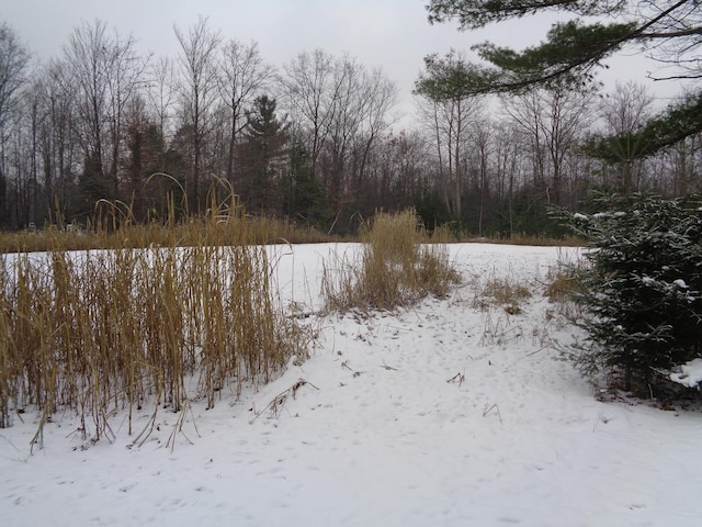 view of yard layered in snow