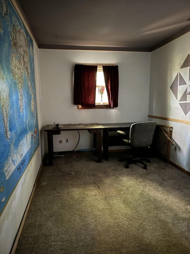 unfurnished office with carpet flooring