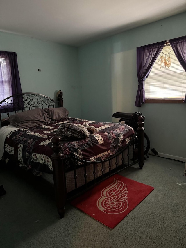 carpeted bedroom with multiple windows