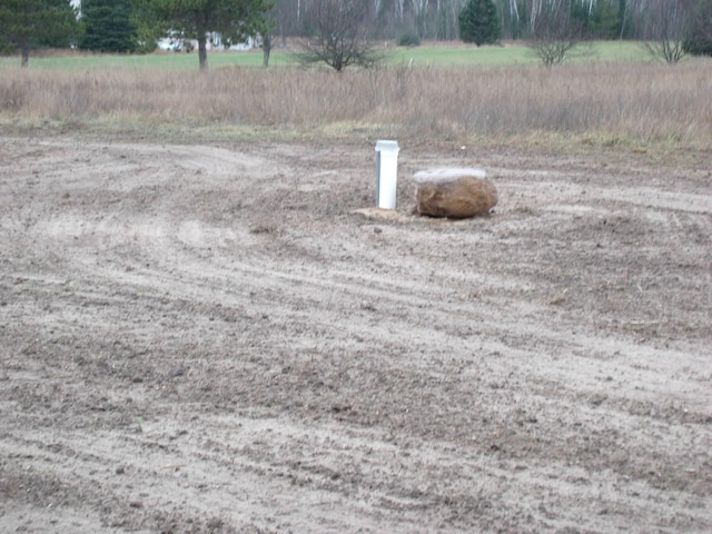 view of yard featuring a rural view