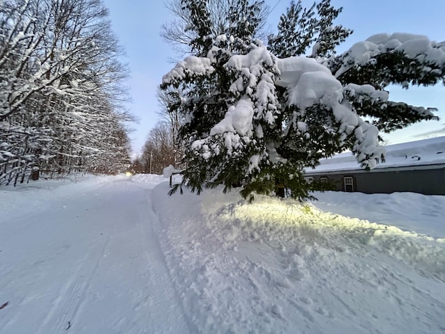 view of snowy yard