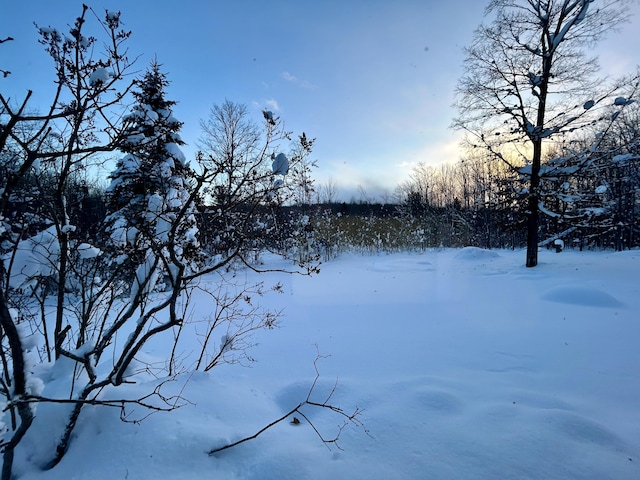 view of yard covered in snow