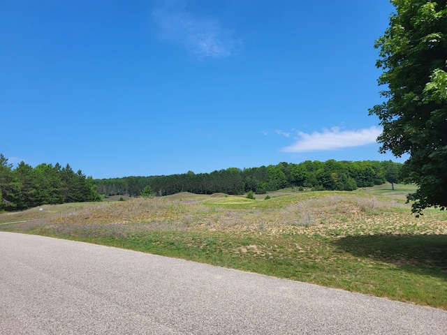 Listing photo 3 for UNIT9 Bear Paws Trl, Vanderbilt MI 49795