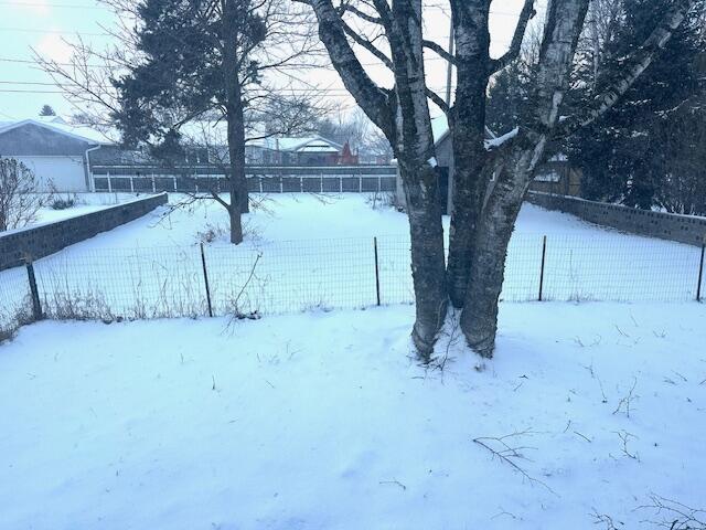 view of yard covered in snow