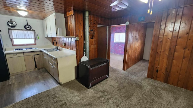 kitchen featuring plenty of natural light, light colored carpet, sink, and wooden walls