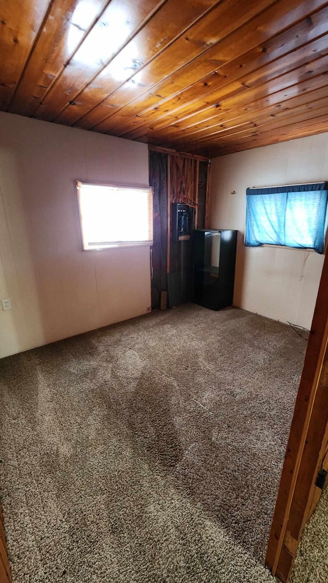 interior space with carpet, multiple windows, and wooden ceiling