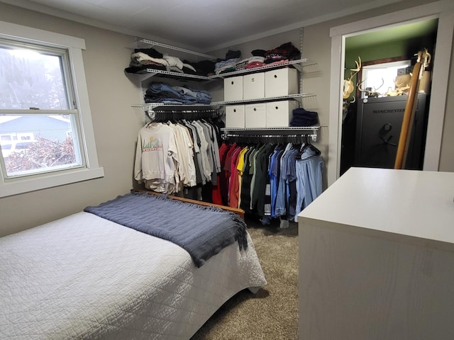 carpeted bedroom with crown molding and a closet