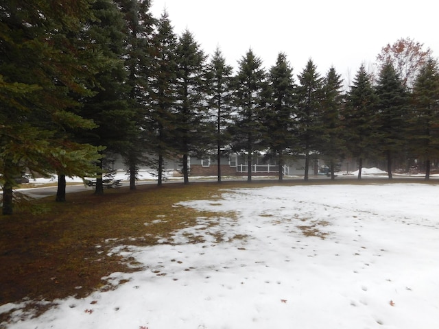 view of snowy yard