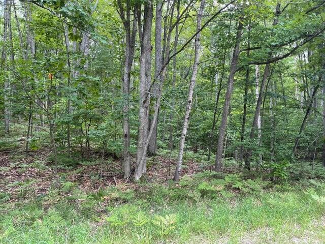 106 Locksley Dr, Frederic MI, 49733 land for sale