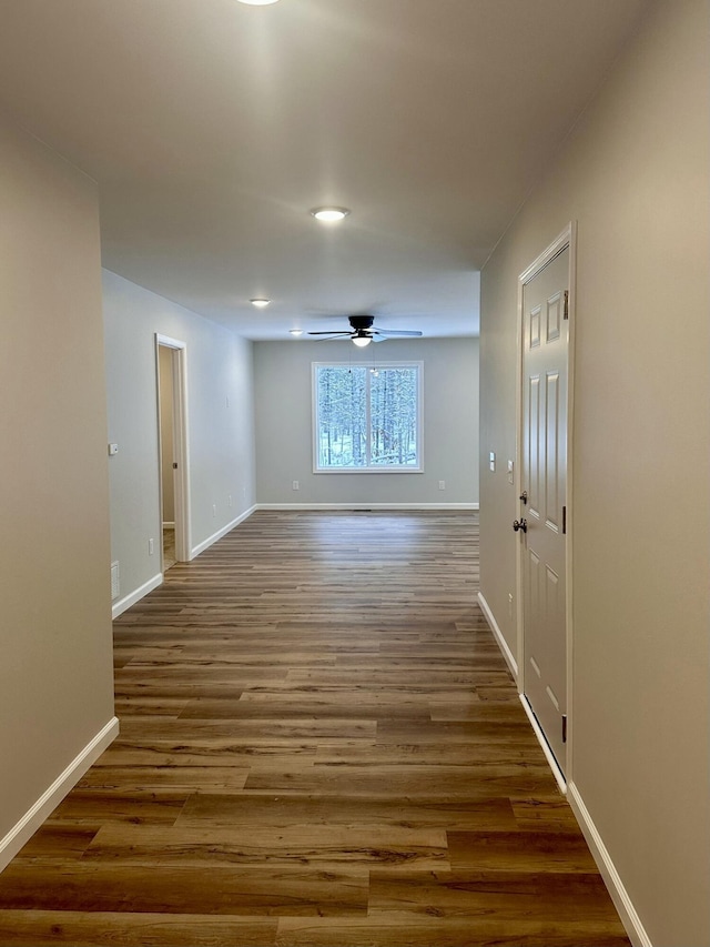 hall featuring dark hardwood / wood-style floors