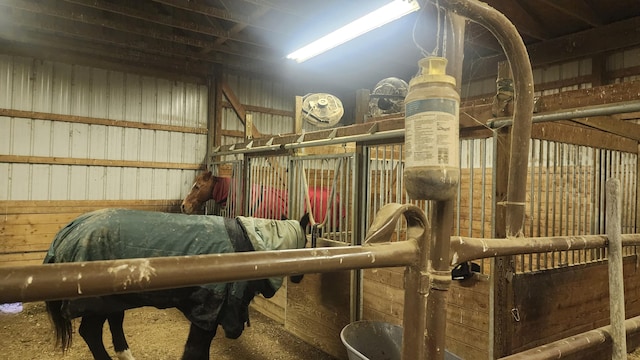 view of horse barn